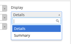 The Display drop-down list expanded, showing Details (highlighted) and Summary options below a search box