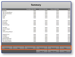 Summary report view