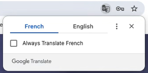 Google Chrome's built-in translate popup offering to translate the French page to English